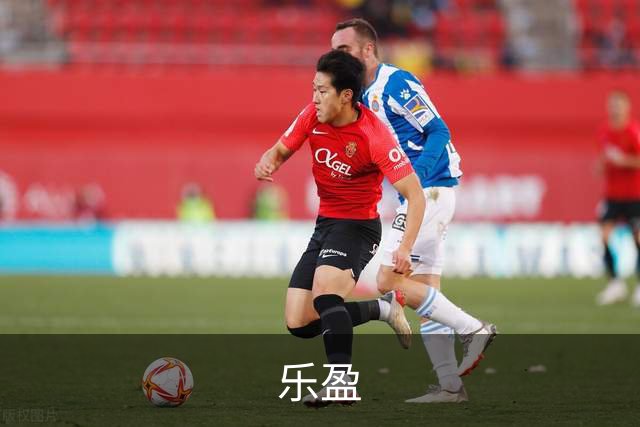 乐盈公司简介